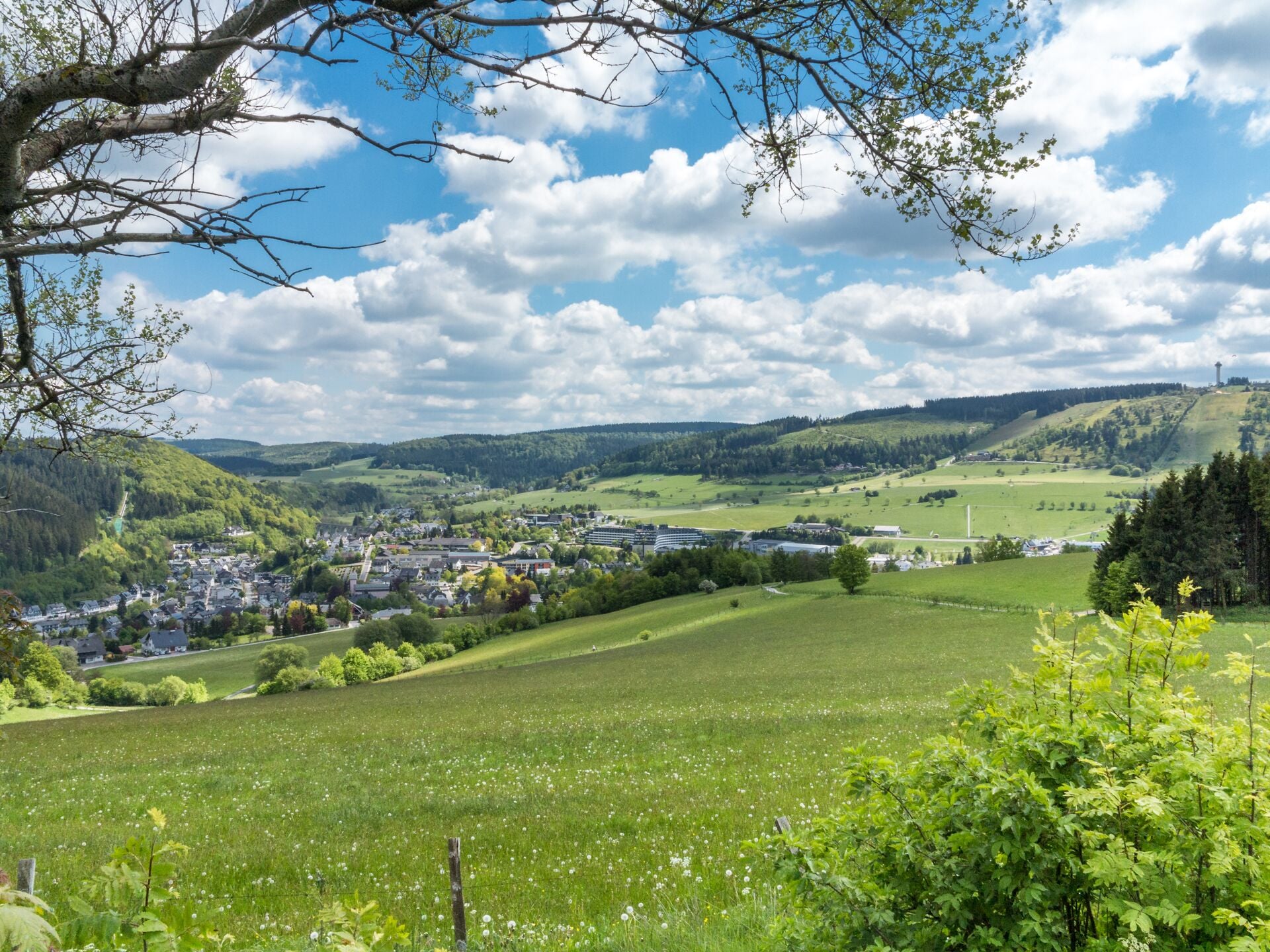 A rural landscape with a town nestled in the valley, surrounded by green fields and hills.