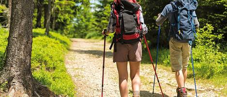 Two people hiking on a dirt path surrounded by trees.