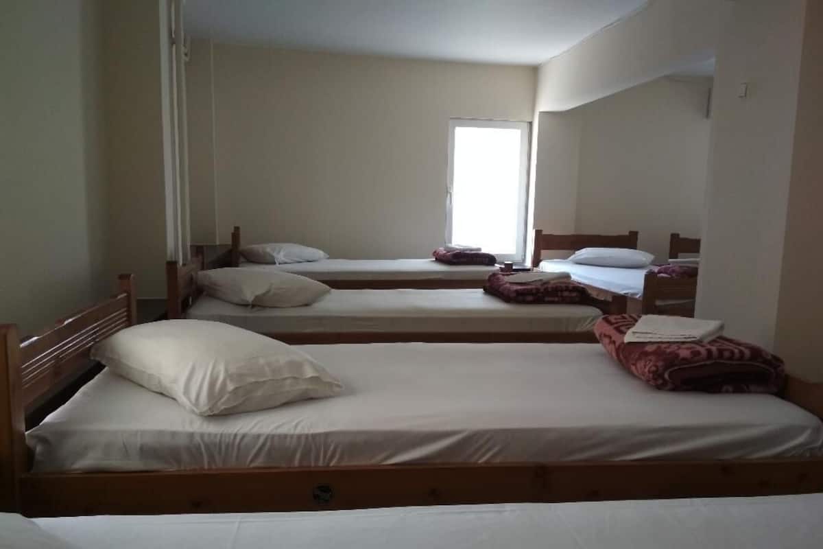 Standaard slaapzaal, gemengde slaapzaal (7 Beds) | Een strijkplank/strijkijzer, gratis wifi, beddengoed
