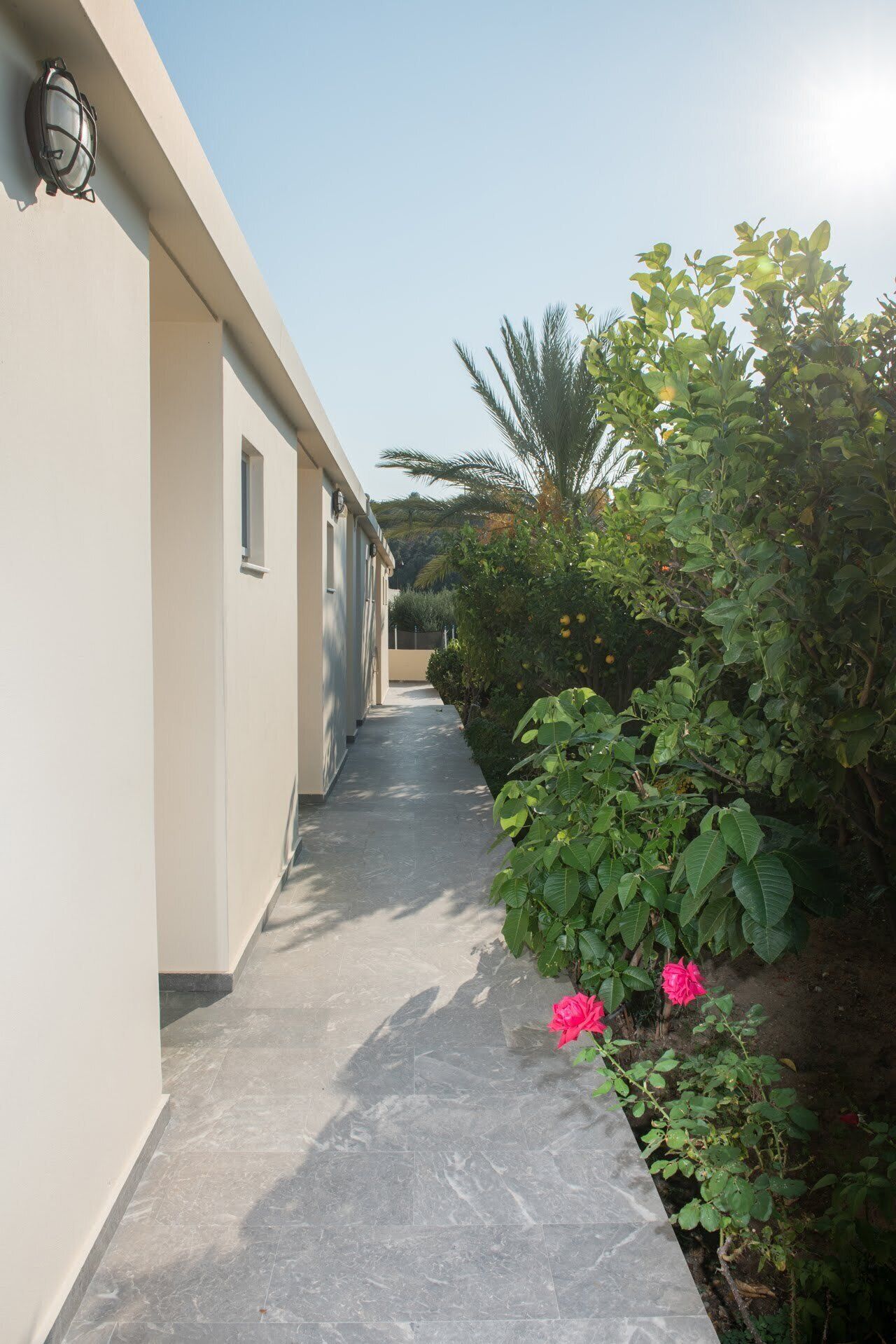 A narrow concrete pathway flanked by a building and lush greenery, including a palm tree and flowering plants.