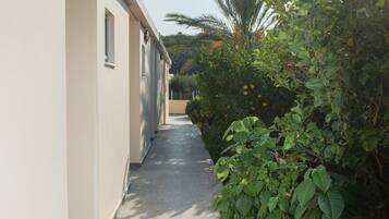 A narrow concrete pathway flanked by a building and lush greenery, including a palm tree and flowering plants.