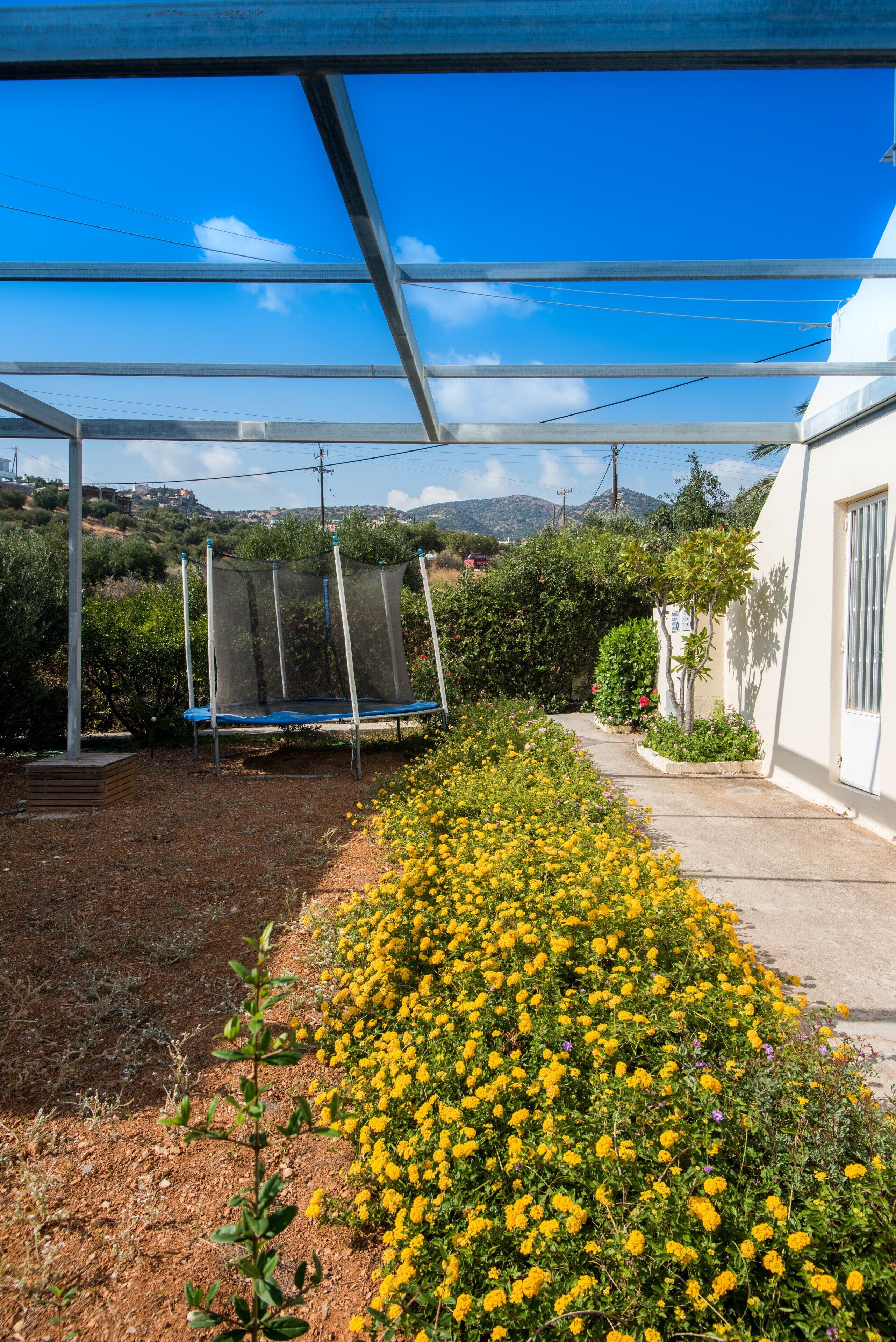 Een overdekt buitengebied met een trampoline, omringd door een tuin vol gele bloemen, en uitzicht op een heuvel.