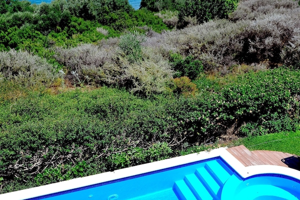Seasonal outdoor pool, pool umbrellas, sun loungers