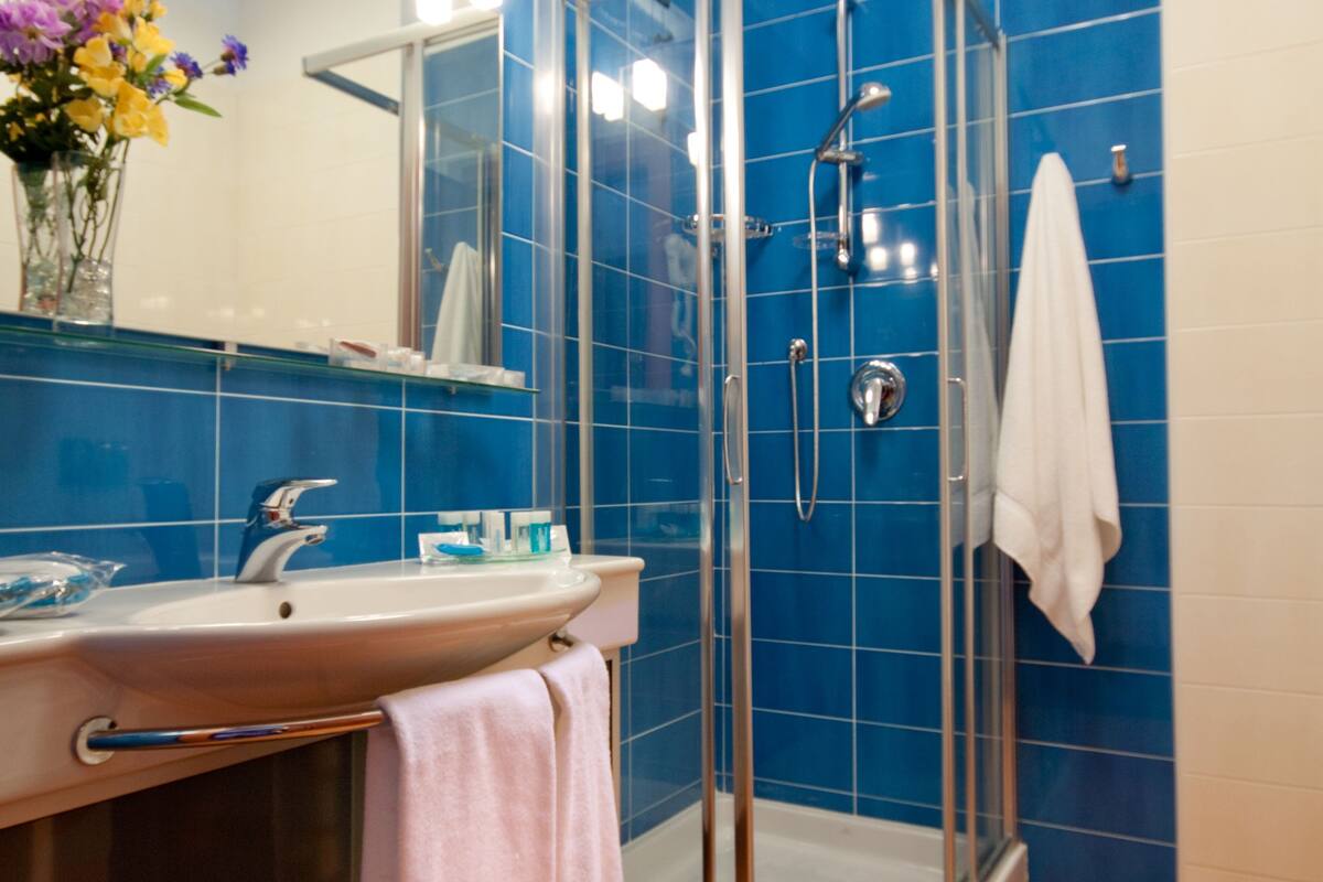 shower, free toiletries, hair dryer, slippers