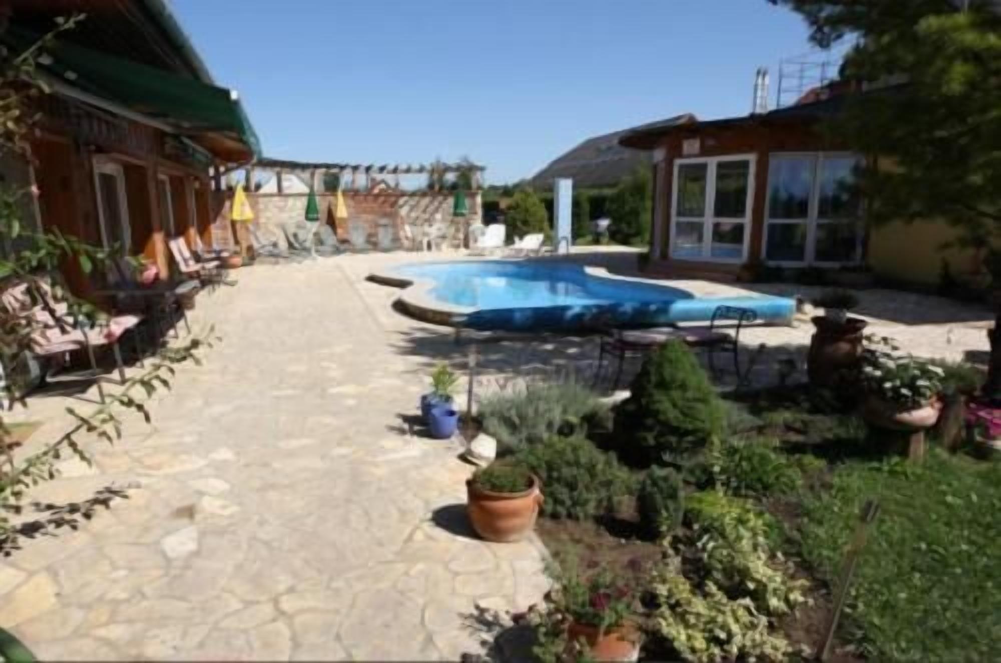 Una piscina con un sendero de piedra que la lleva a ella, rodeada de plantas en macetas y un patio con muebles de exterior.