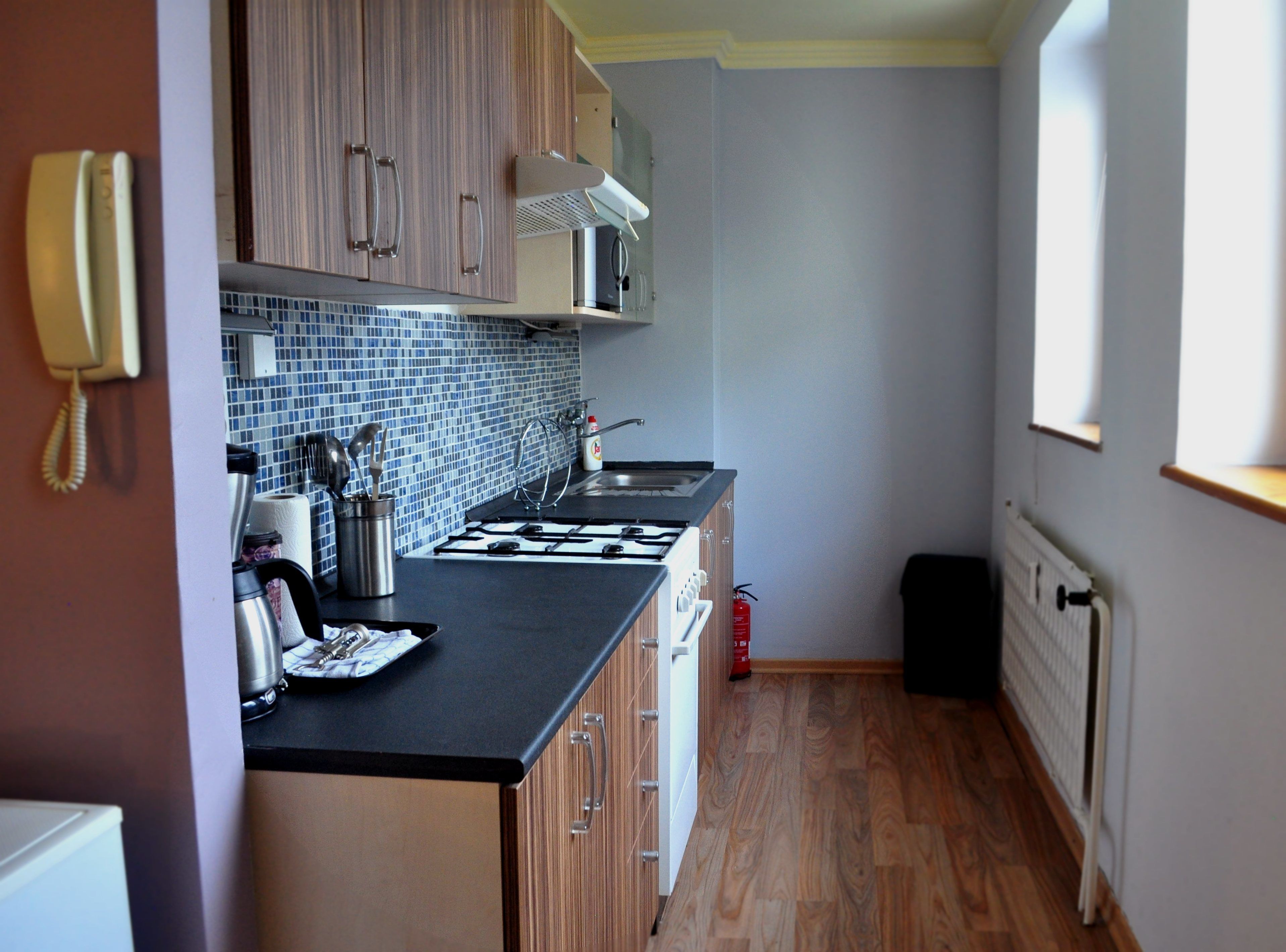 standard apartment, 1 bedroom | private kitchen | fridge