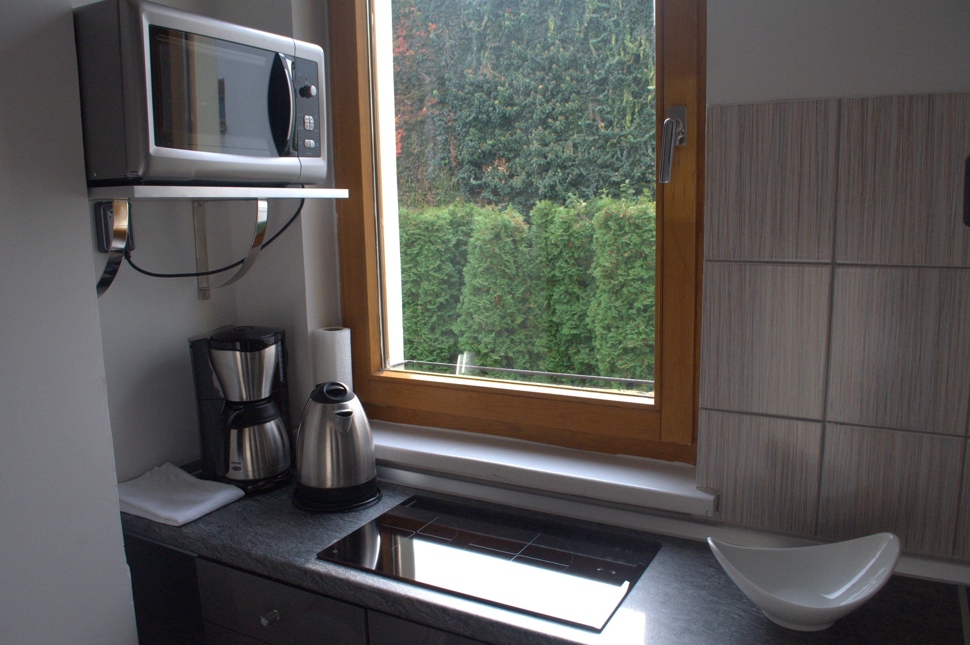 standard apartment, 1 bedroom | microwave