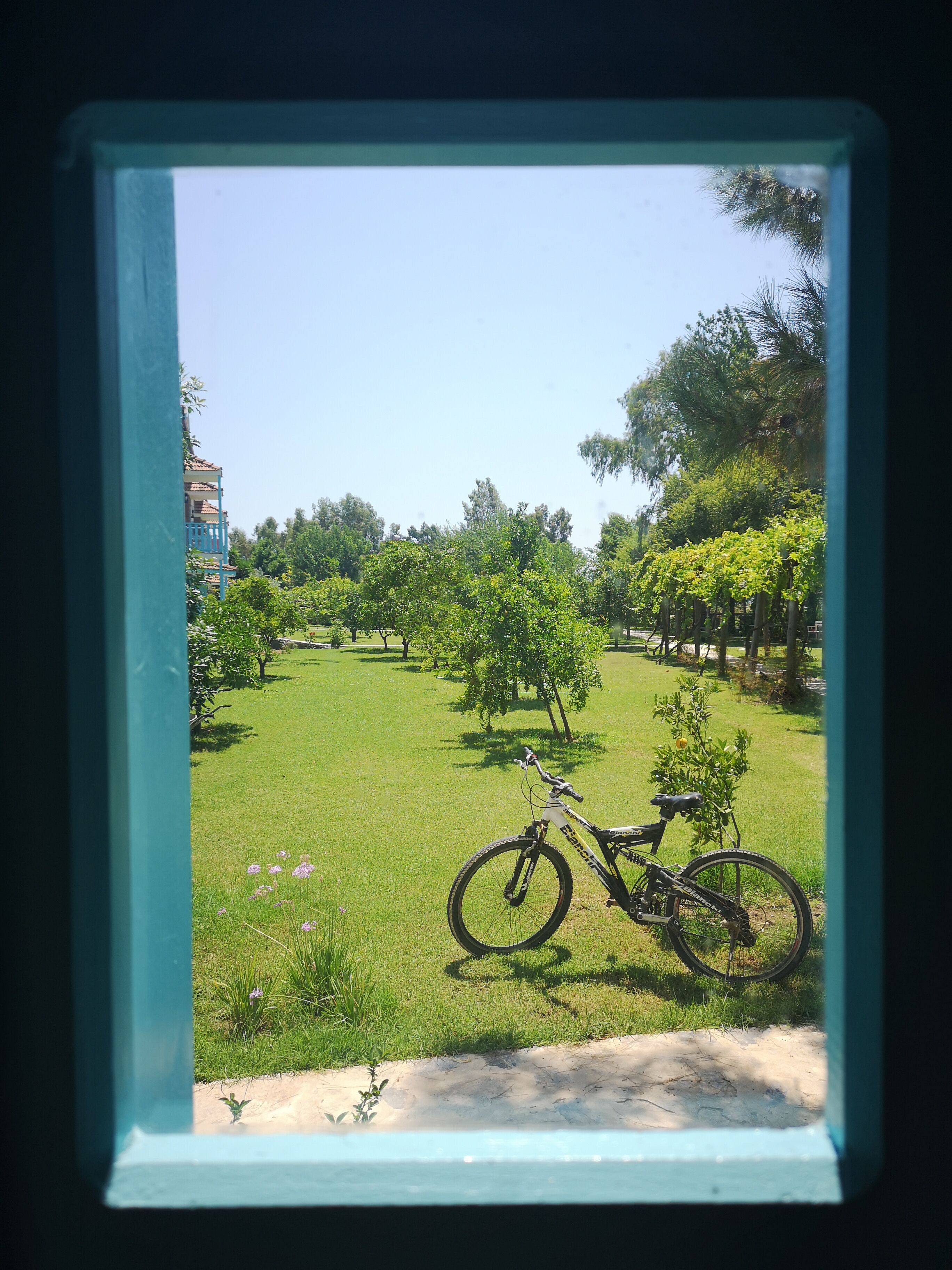 Foto - Yonca Lodge