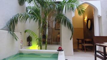 Indoor pool, sun loungers