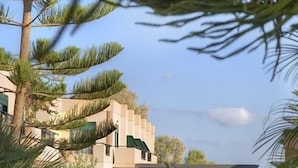 Un sendero conduce a un edificio de estilo arquitectónico moderno, rodeado de exuberante vegetación y palmeras.