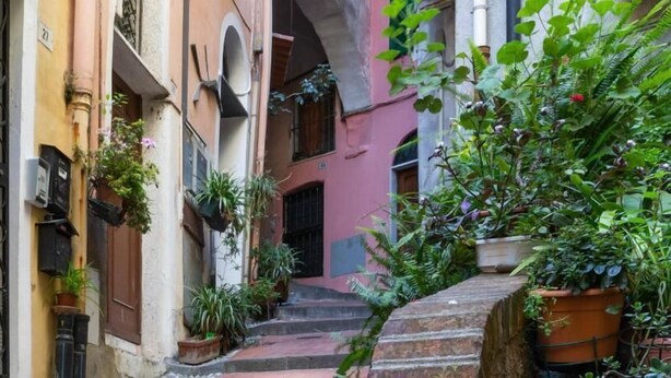 Un estrecho callejón con escaleras que conducen a la entrada de un edificio, rodeado de plantas en macetas y vegetación.