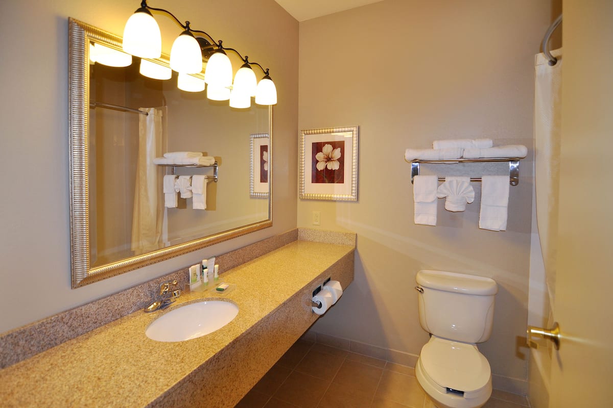 Combined shower/bathtub, free toiletries, hair dryer, towels