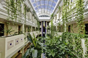 Vista desde la propiedad