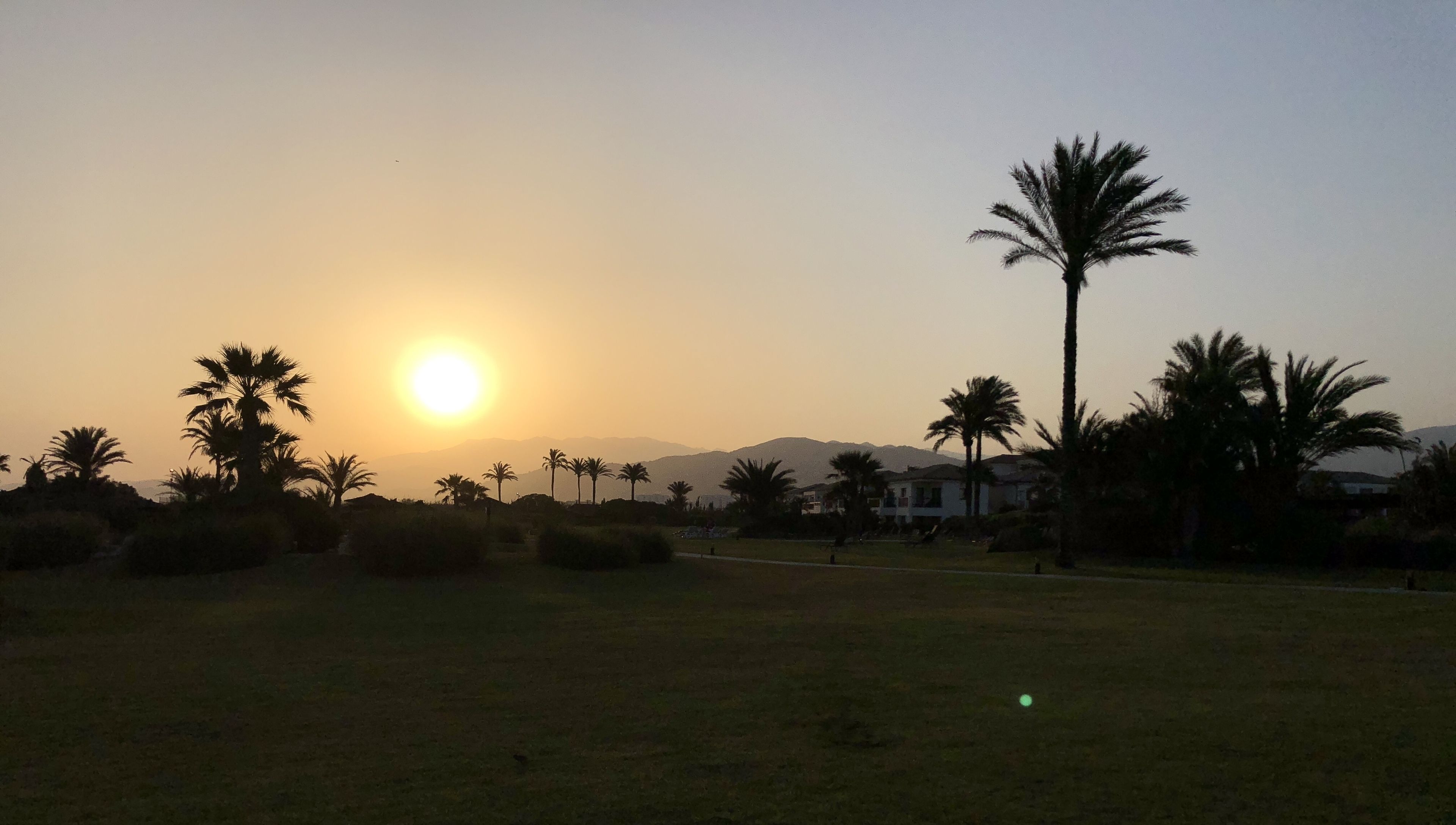 Atardecer sobre una zona cubierta de hierba, con palmeras y una montaña al fondo.