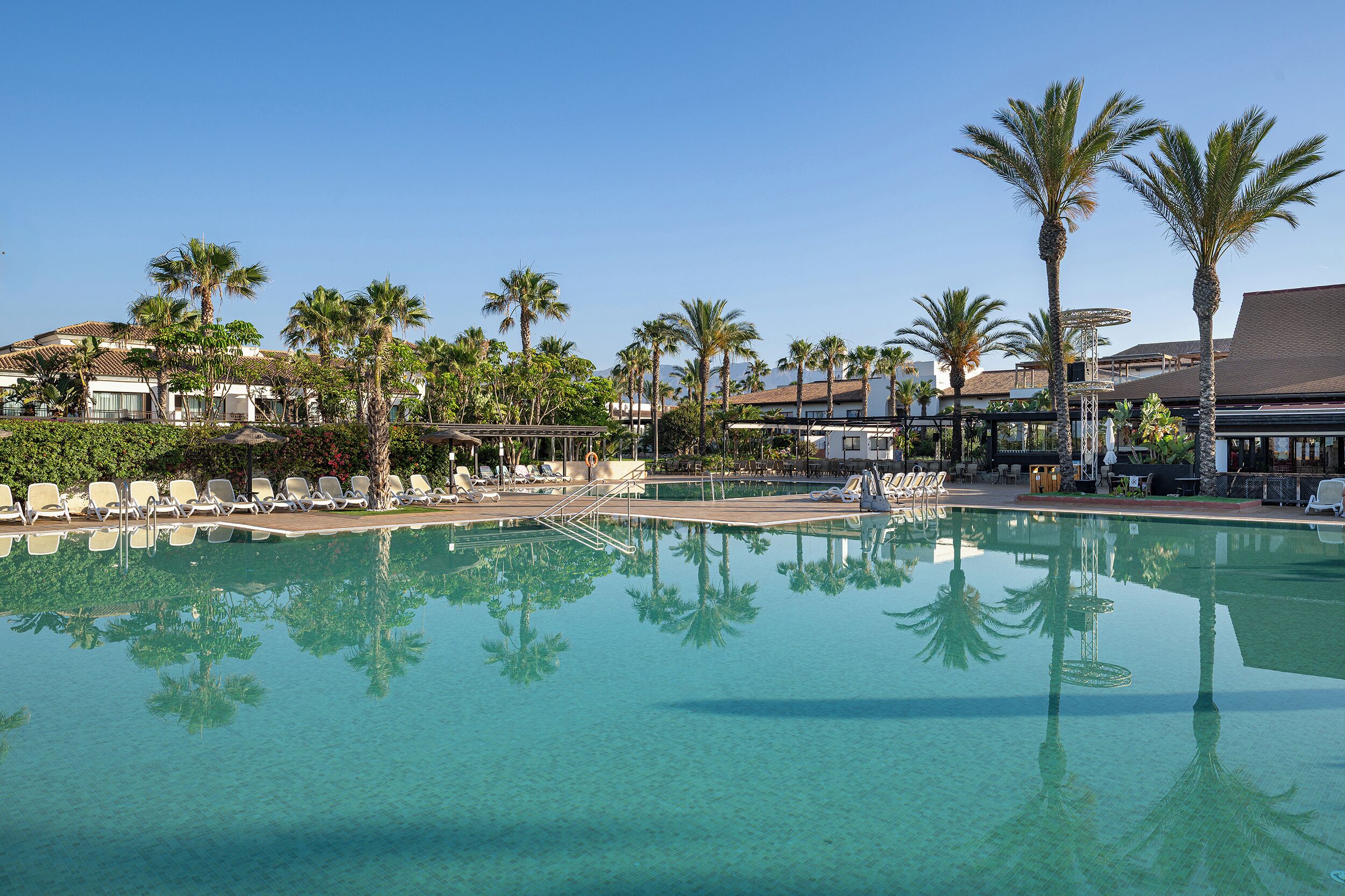 A clear swimming pool with lounge chairs and palm trees.