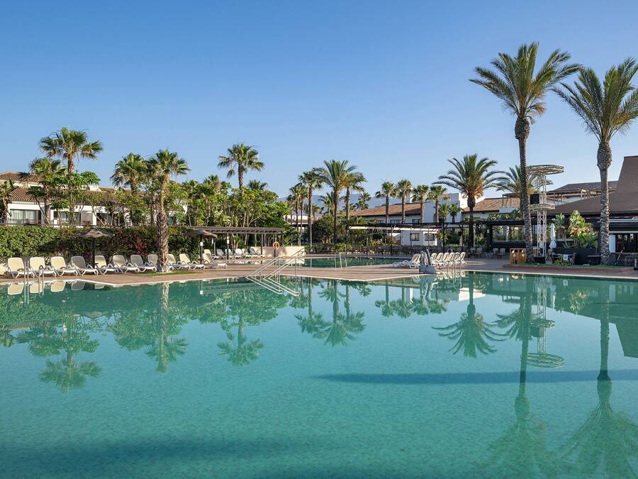 A clear swimming pool with lounge chairs and palm trees.