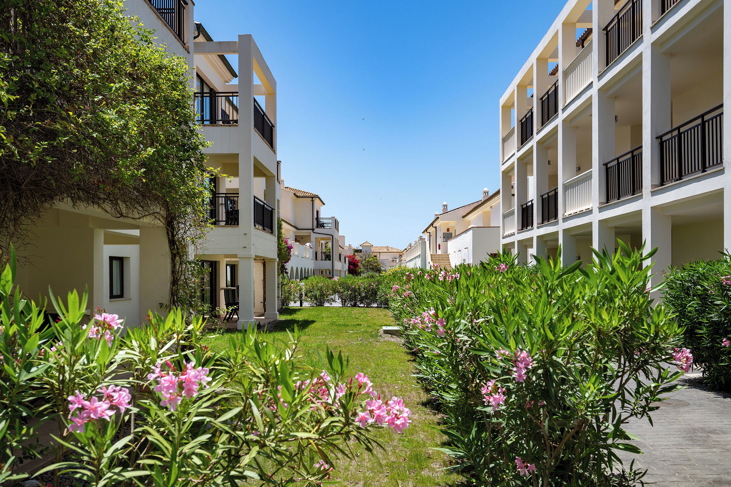 A residential building with balconies, a clear sky, and a garden with pink flowers.