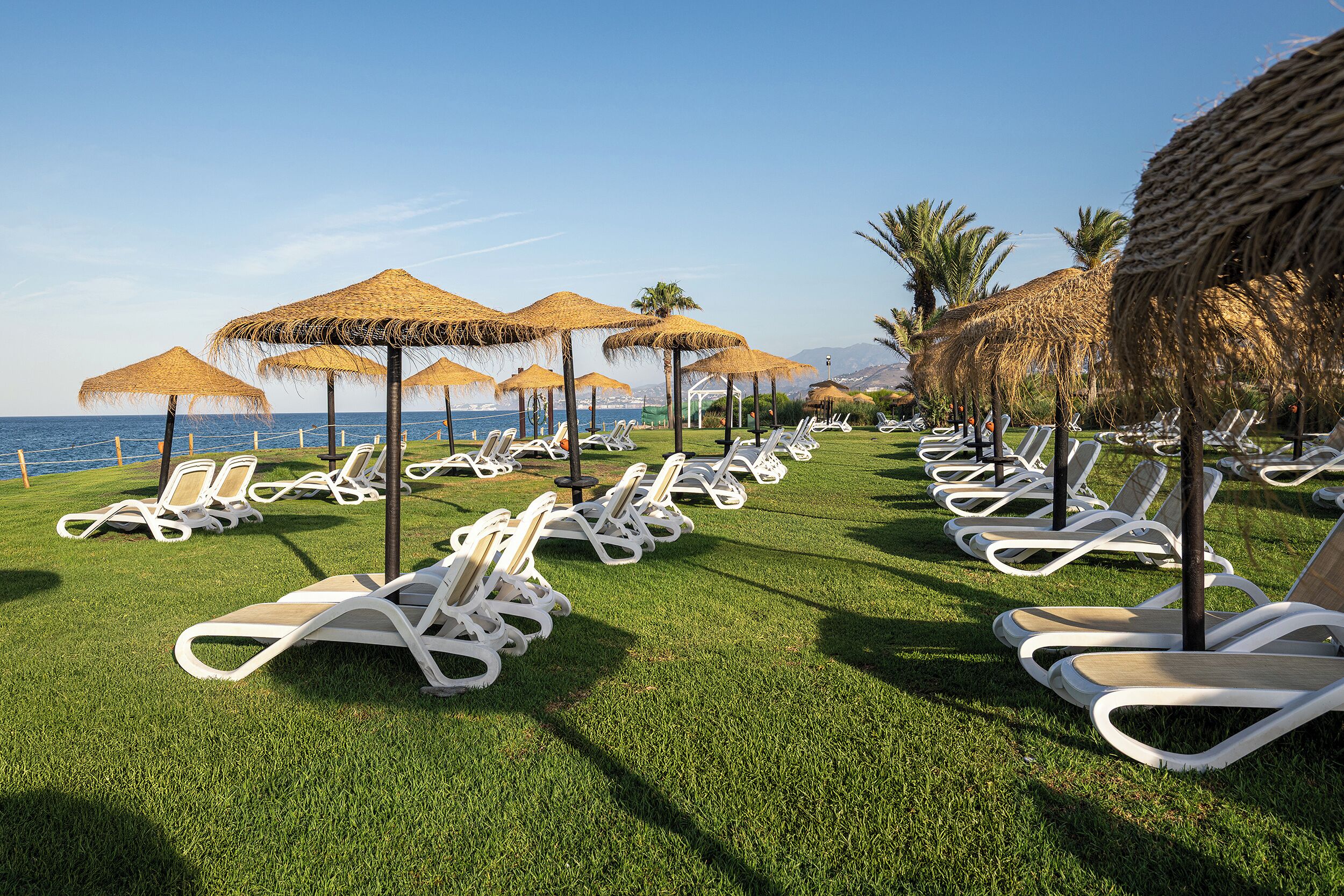 Een rij witte ligstoelen met rieten parasols op een verzorgd gazon, uitlopend in een strand.