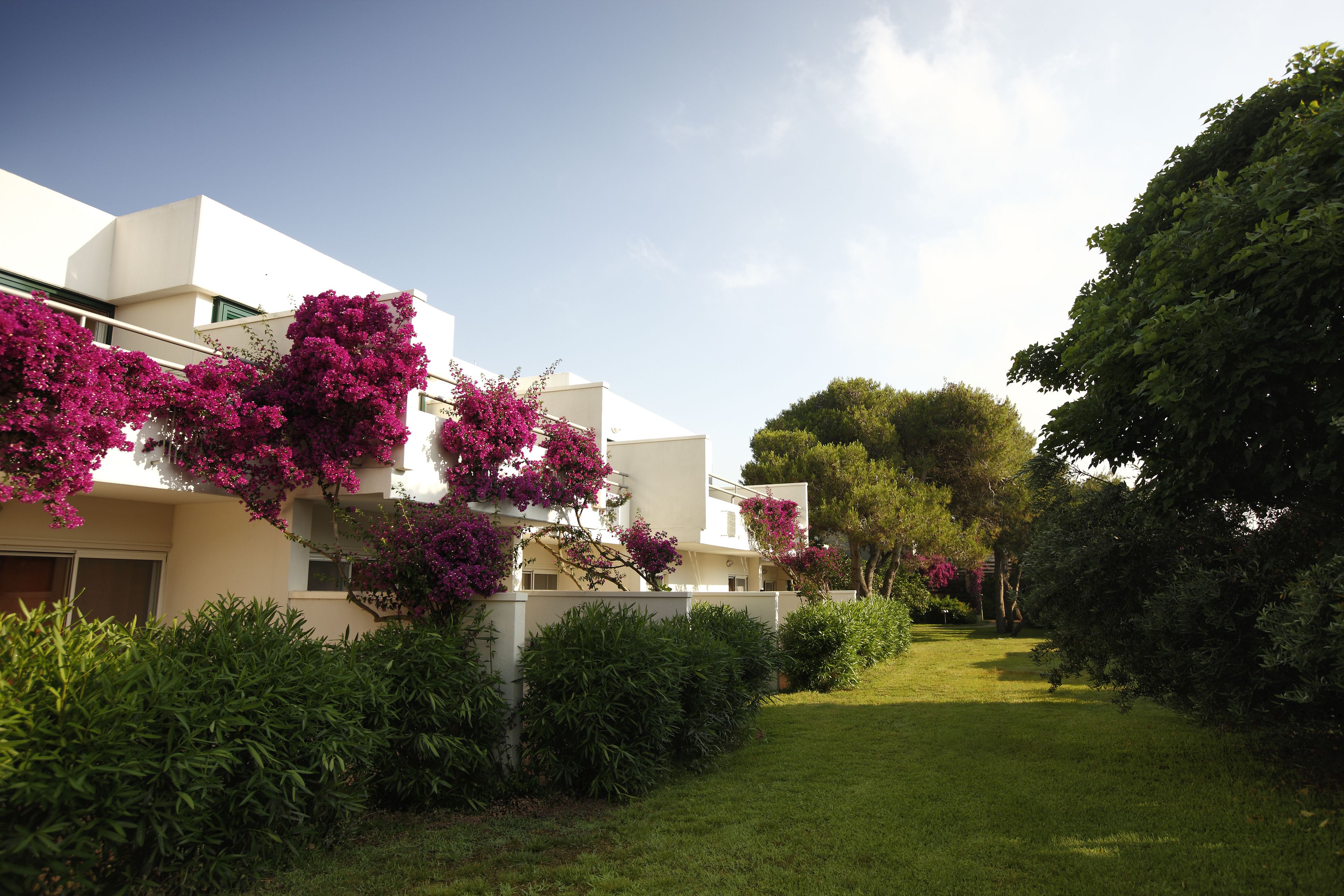 A modern building with white exterior walls and pink flowering plants.