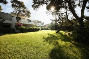 A well-maintained grassy area with a building in the background.
