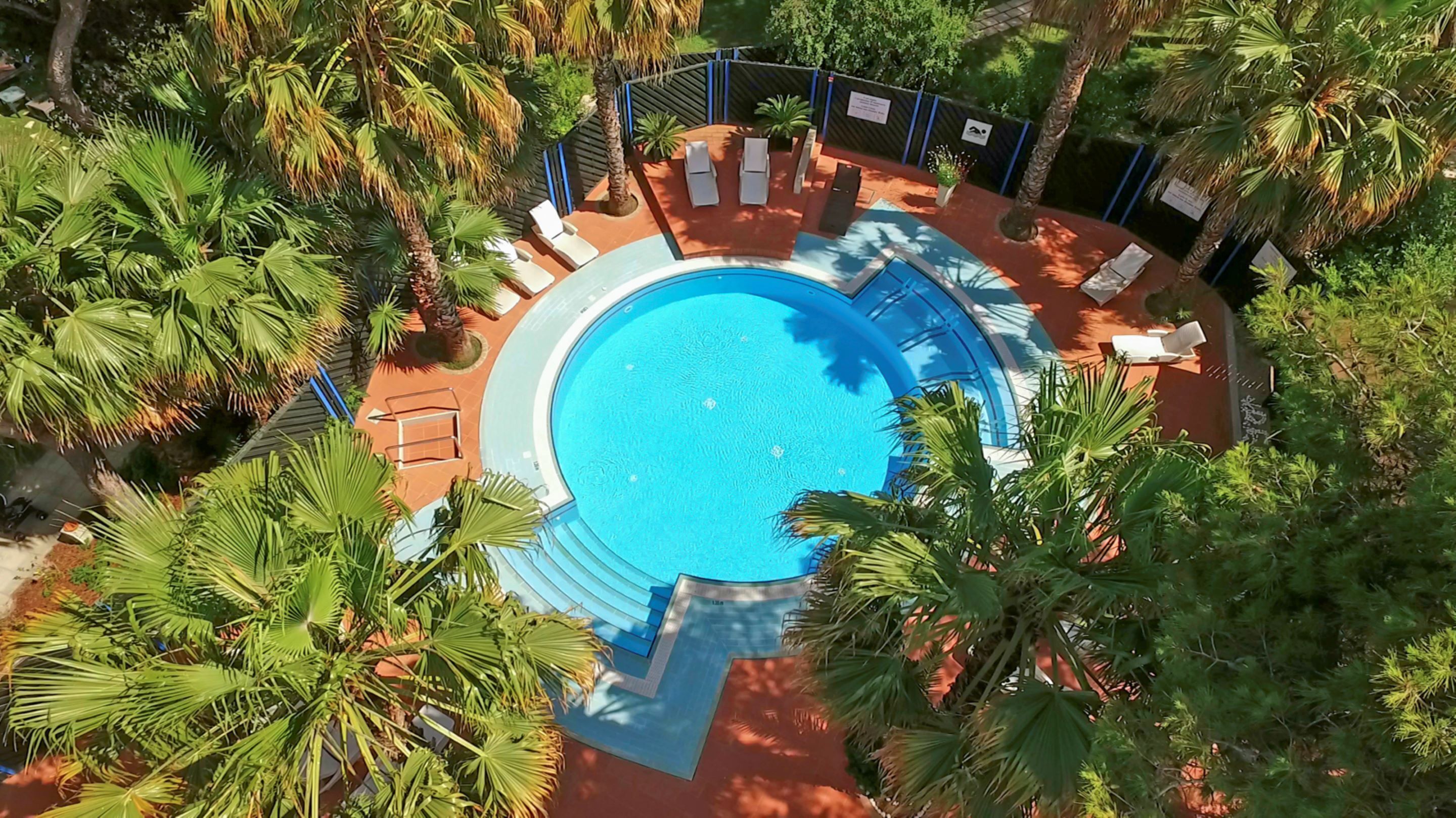 An aerial view of a circular swimming pool surrounded by palm trees and lounge chairs.