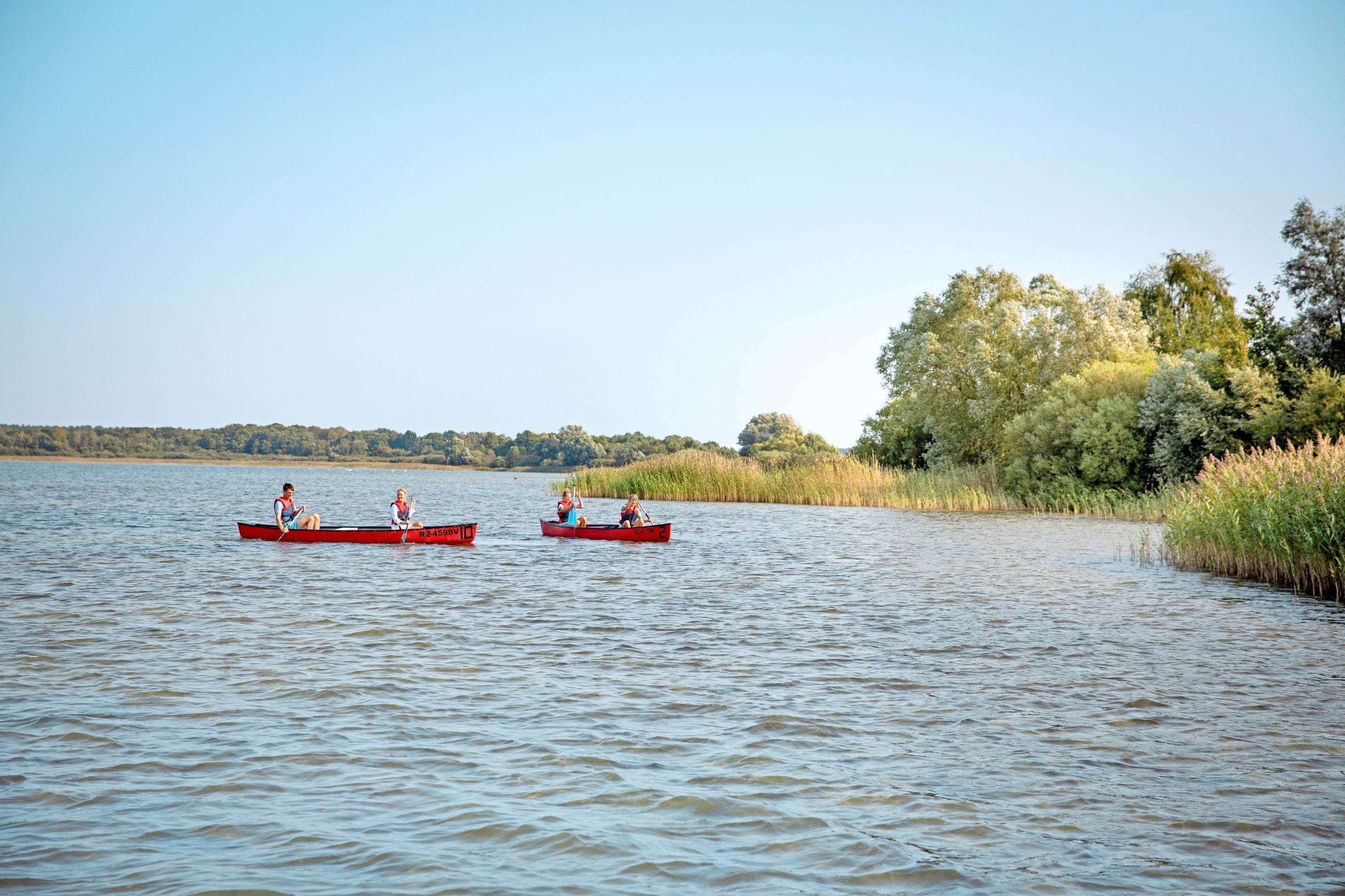 Two red canoes on a calm lake with dense trees on the shore.