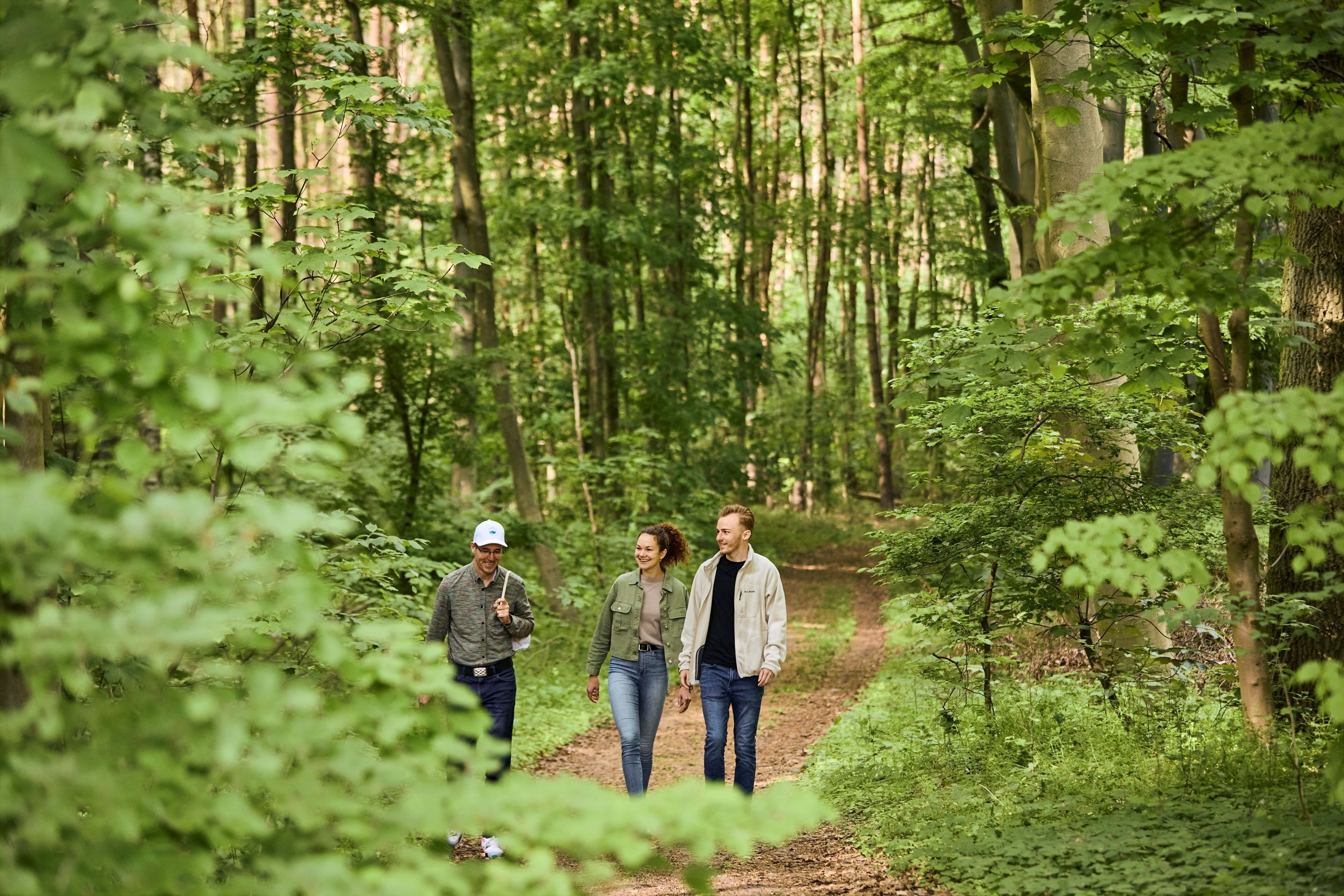Three people walking on a forest path.