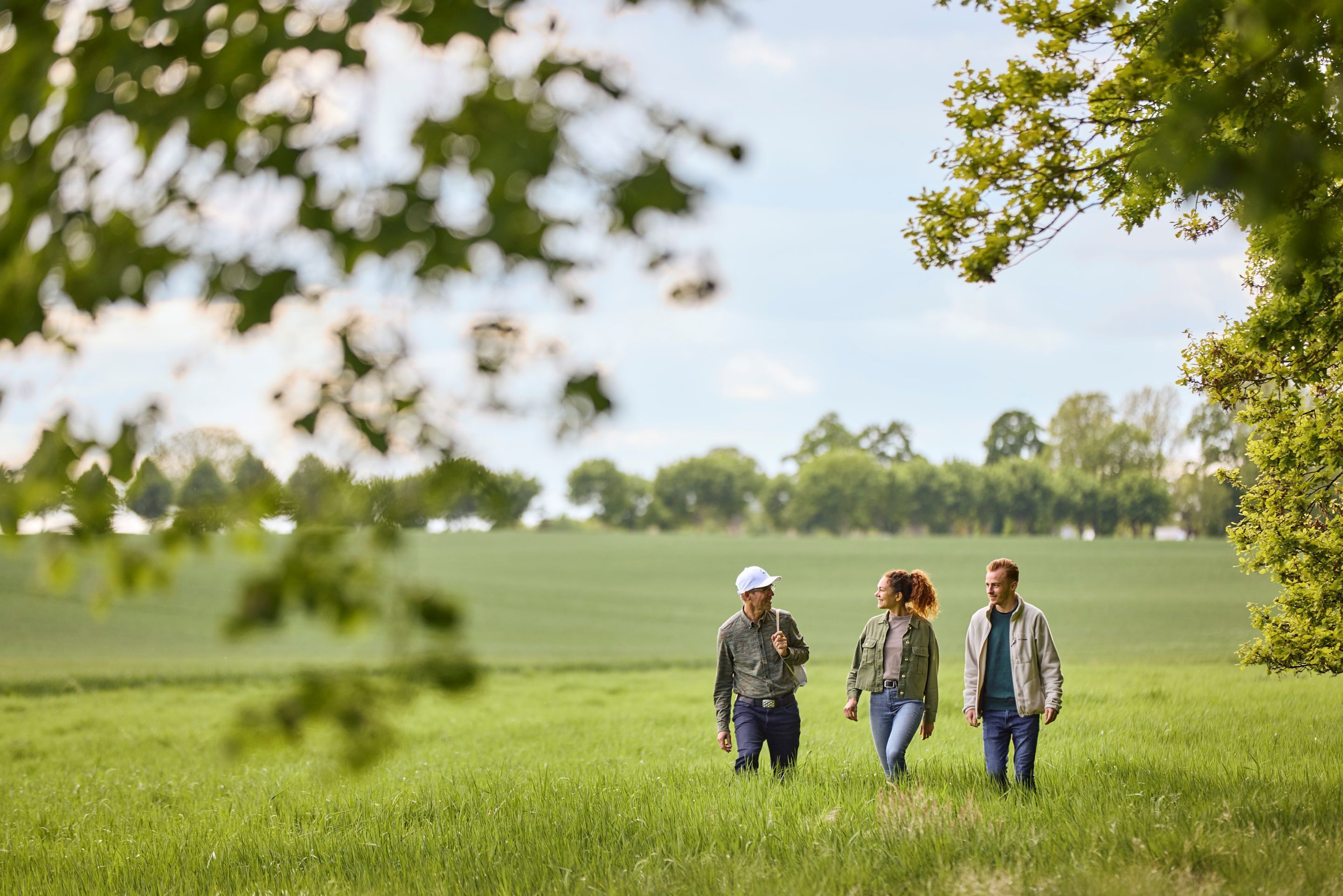 Un grupo de personas caminando por un campo cubierto de hierba, con árboles al fondo.