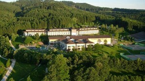 Immagine non classificata, 4 di 73, pulsante
