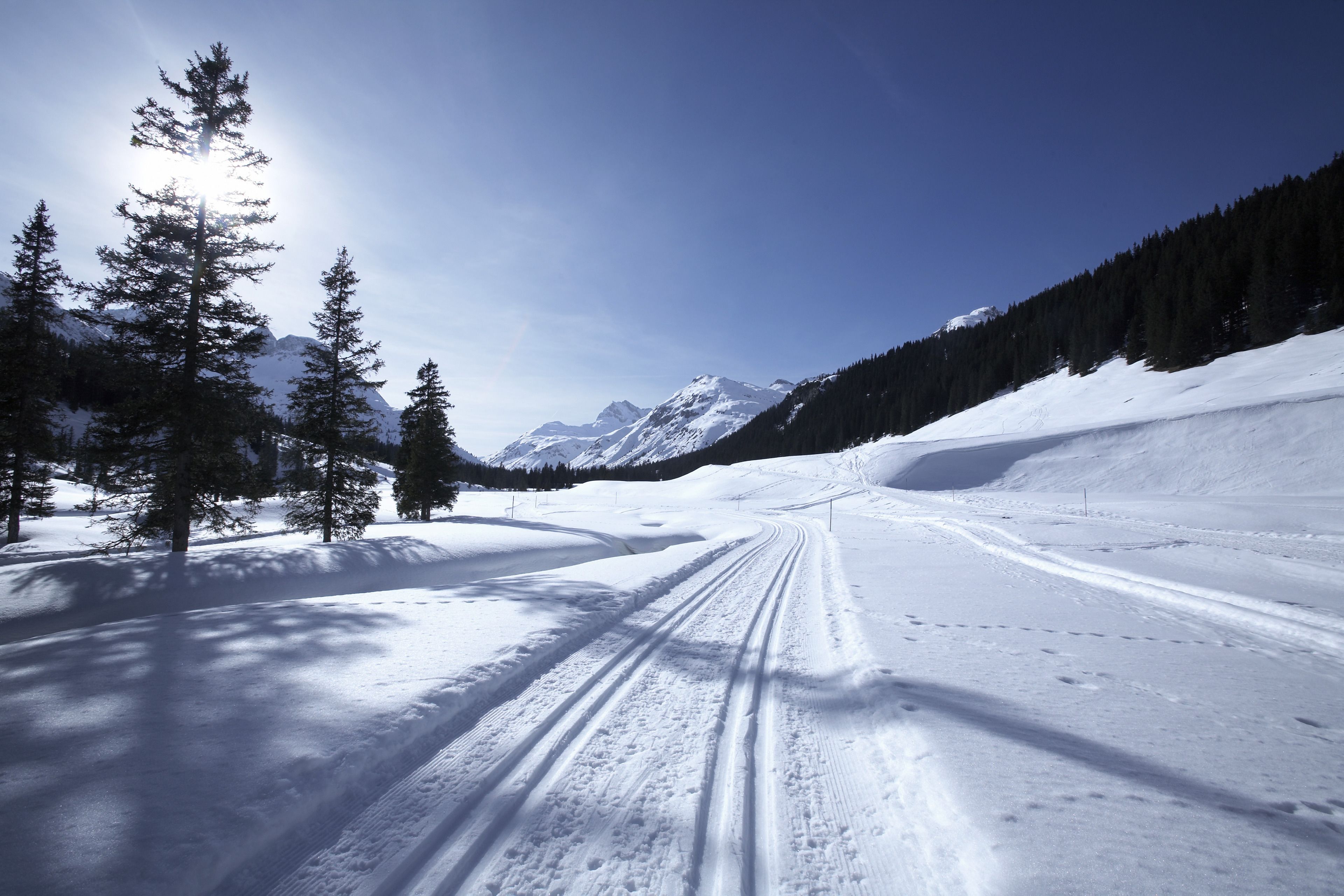 A snowy mountain road with tire tracks, surrounded by evergreen trees and snow-covered peaks under a clear sky.