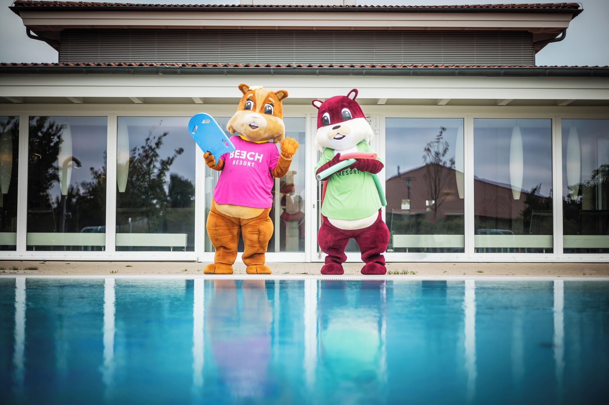 Dos mascotas posando junto a una piscina con un edificio moderno al fondo.
