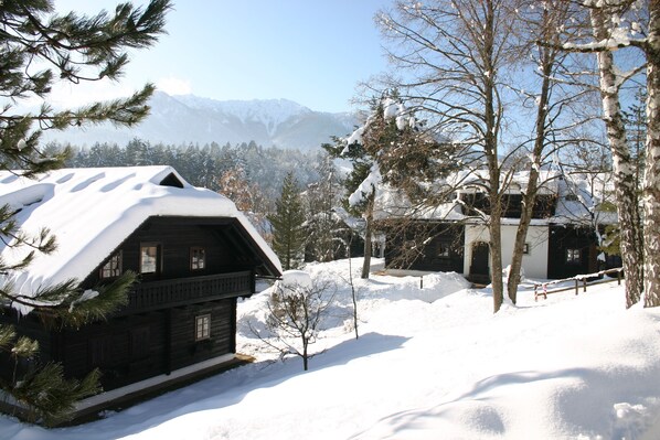 A rustic wooden cabin with a snow-covered roof, surrounded by snow-covered trees and mountains in the background.