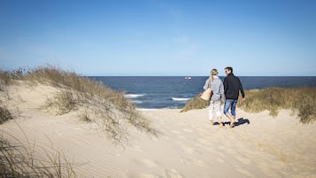 Windsurfen, Volleyball, Surfen/Bodyboarden