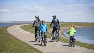 A paved path by a body of water with four cyclists.