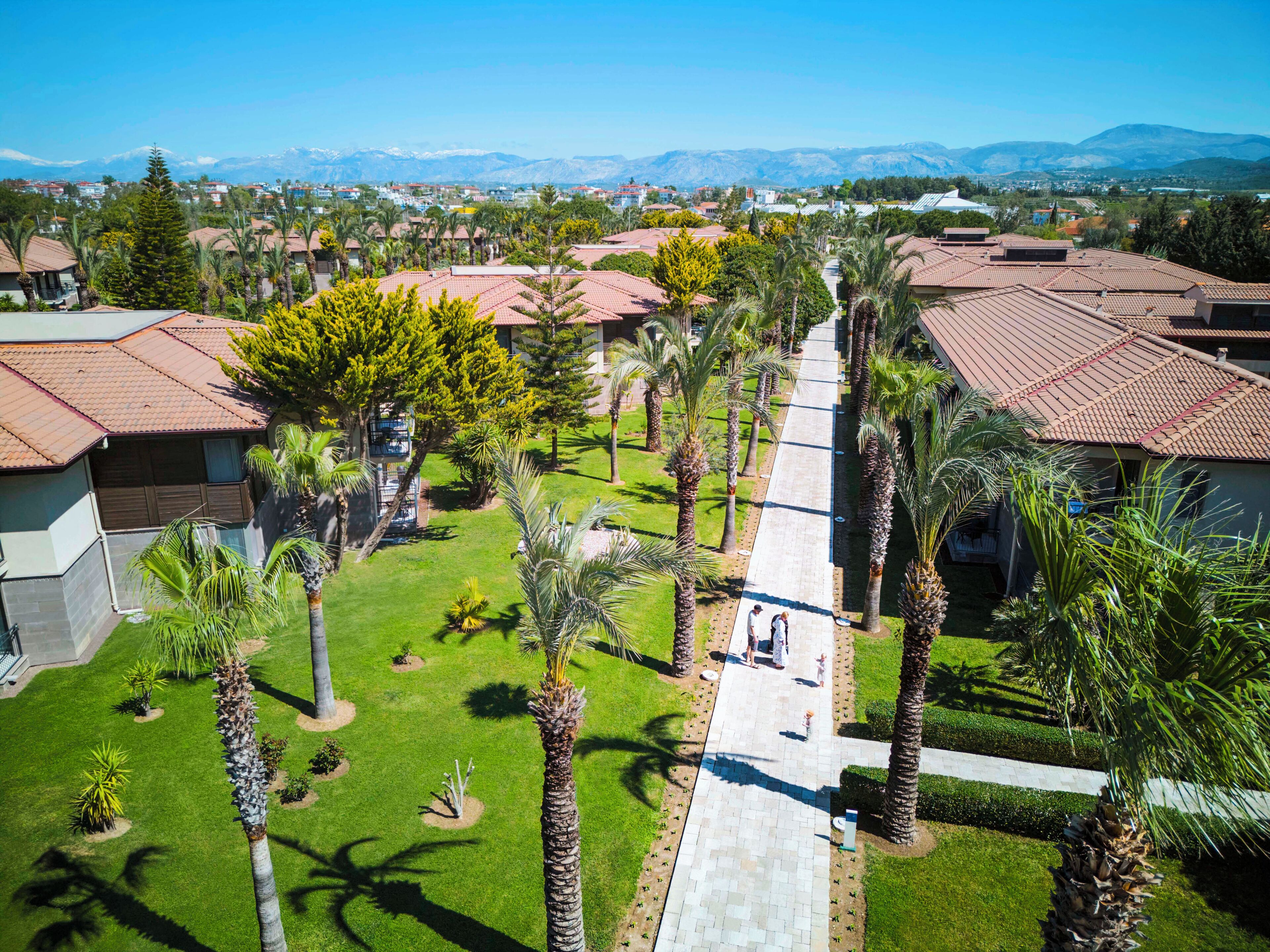 A residential area with a central pathway lined with palm trees and houses with red-tiled roofs.