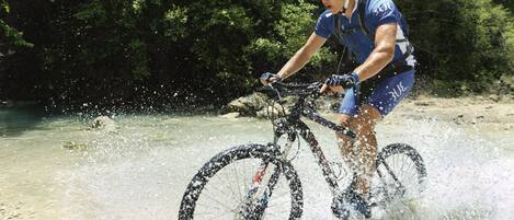A person riding a bicycle through a shallow body of water, surrounded by greenery.