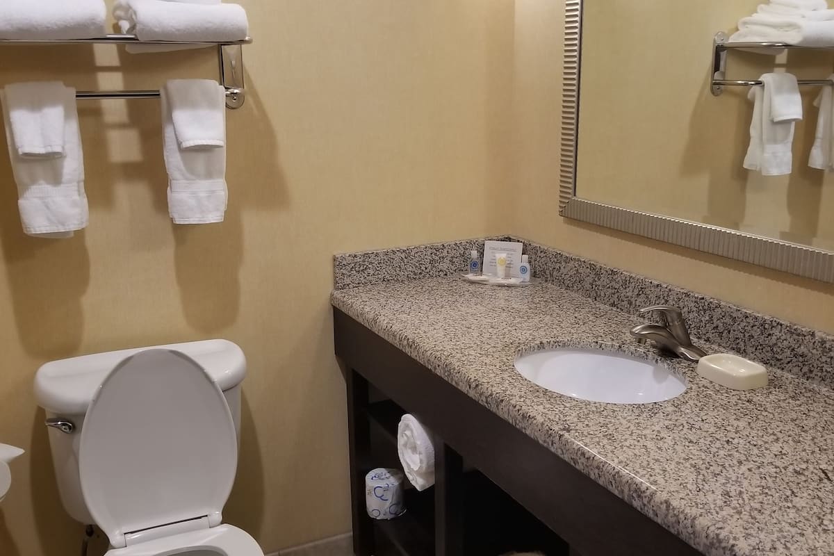 combined shower/bathtub, free toiletries, hair dryer, towels