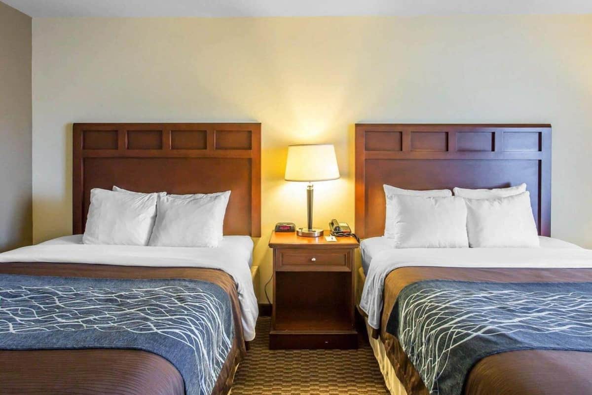 A hotel room with two beds, a nightstand with a lamp, and a carpeted floor.