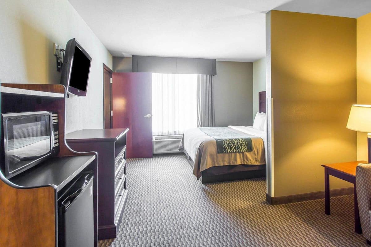 A hotel room with a bed, a desk with a microwave, a TV, and a lamp.