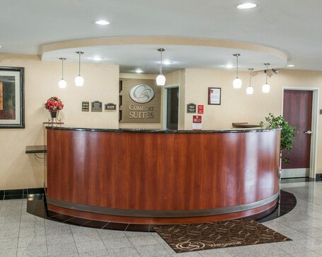 Comfort Suites near Indianapolis Airport - Image 21