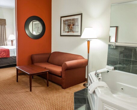 Comfort Suites near Indianapolis Airport - Image 43