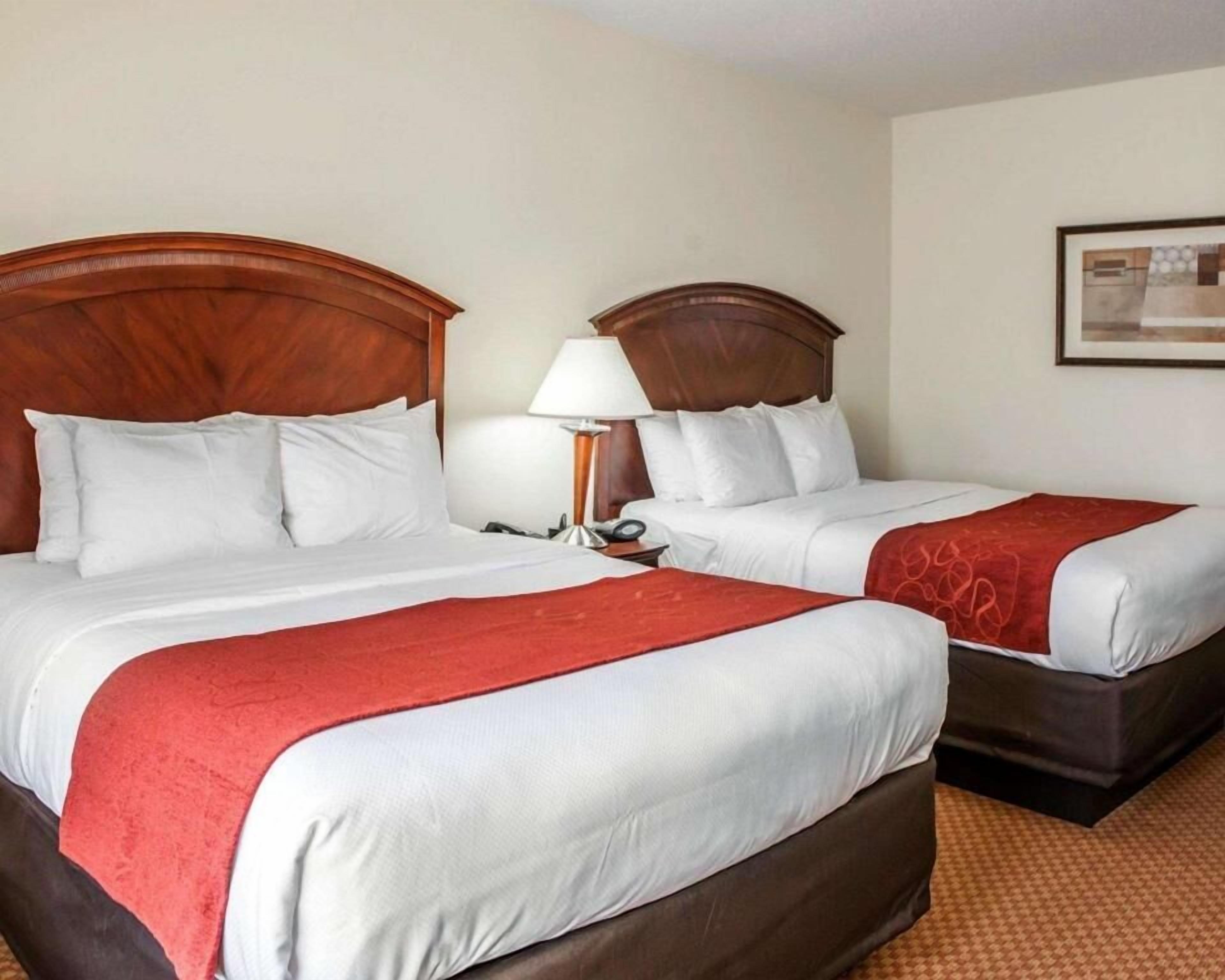 Premium bedding, desk, blackout curtains, iron/ironing board