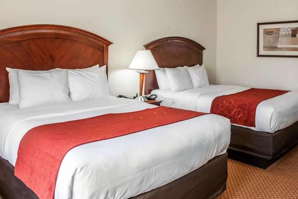 Ropa de cama de alta calidad, escritorio y cortinas blackout