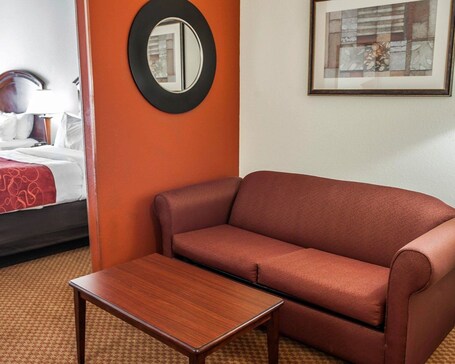 Comfort Suites near Indianapolis Airport - Image 44