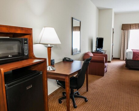 Comfort Suites near Indianapolis Airport - Image 36