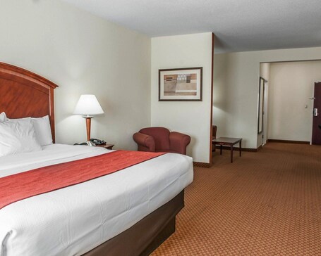 Comfort Suites near Indianapolis Airport - Image 45