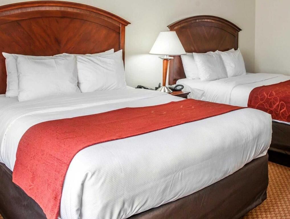 Premium bedding, desk, blackout curtains, iron/ironing board