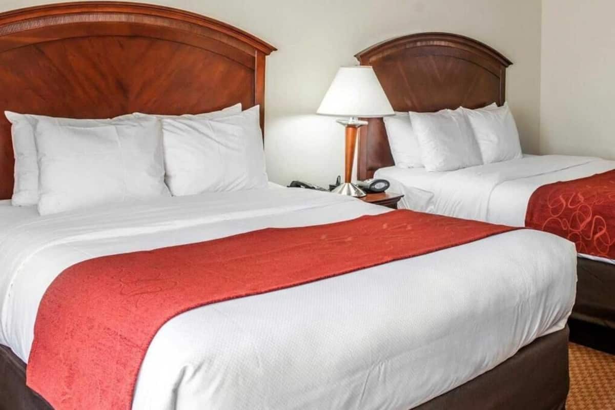 Ropa de cama de alta calidad, escritorio y cortinas blackout