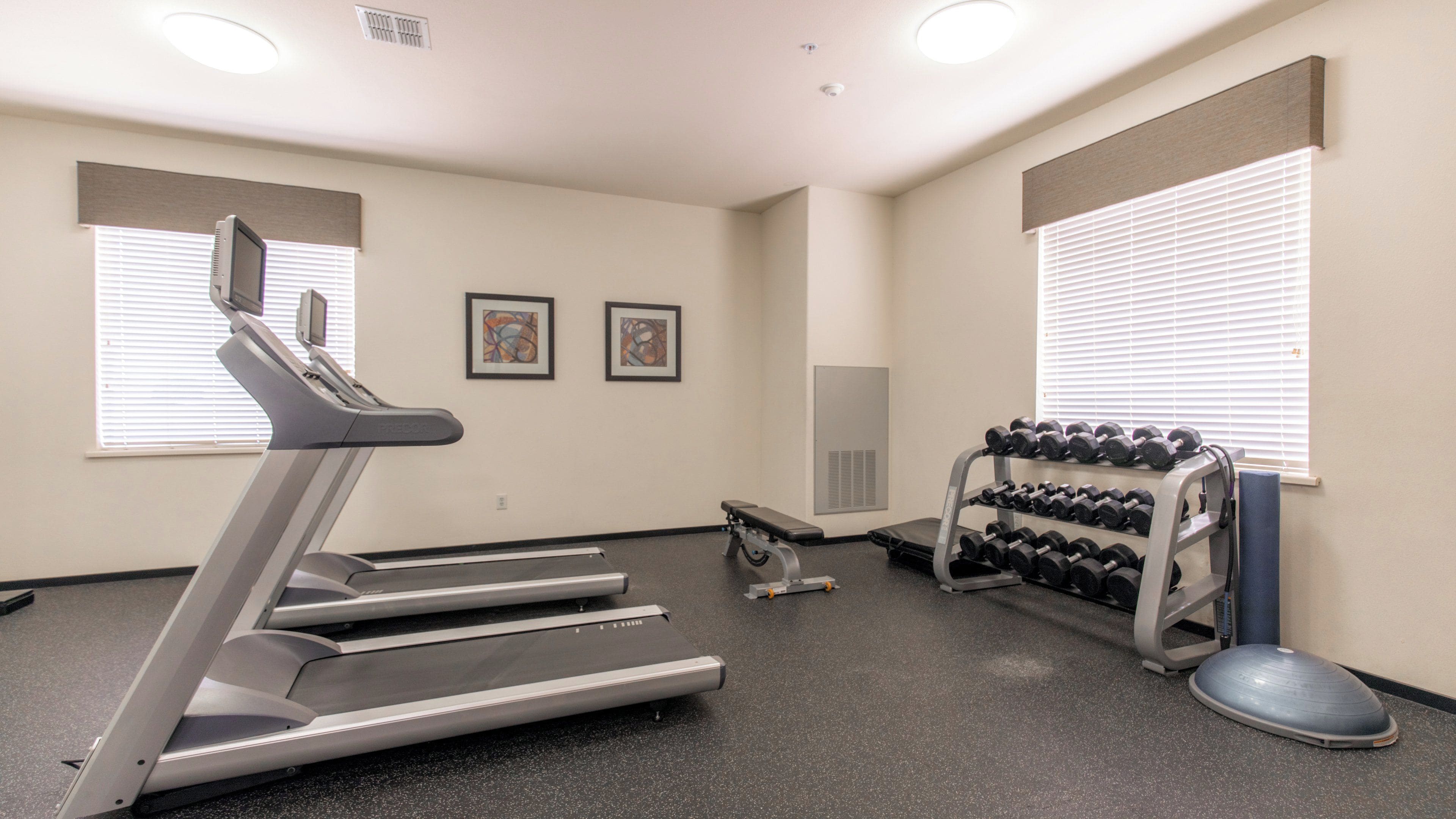 A gym with treadmills, dumbbells, and exercise equipment.