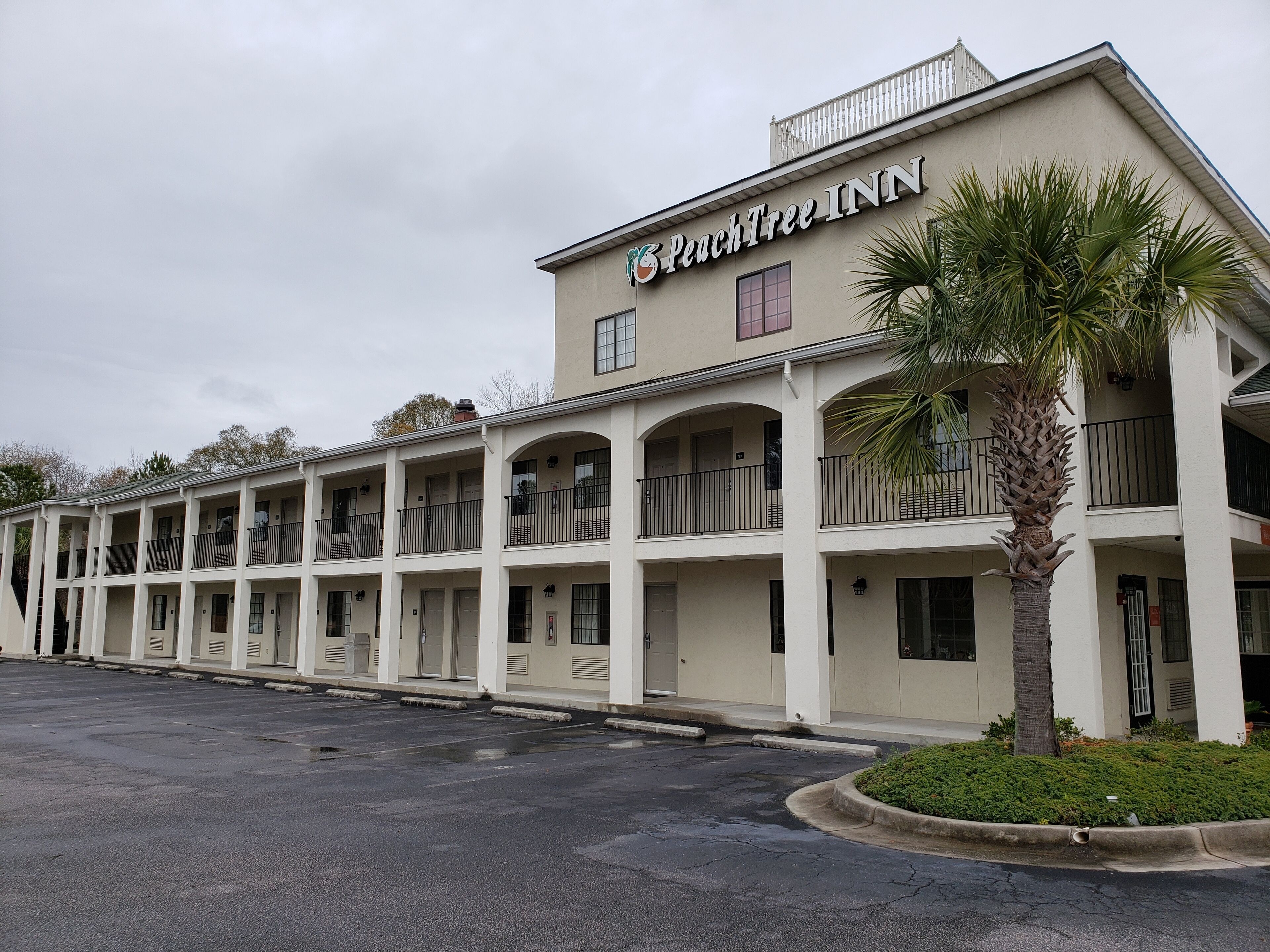 Un motel con varios balcones y una palmera en primer plano.